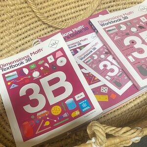 Singapore math 3B bundle